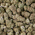 Premium THCa Flower - Zlurpee