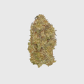 Premium THCa Flower - Amaretto Sour