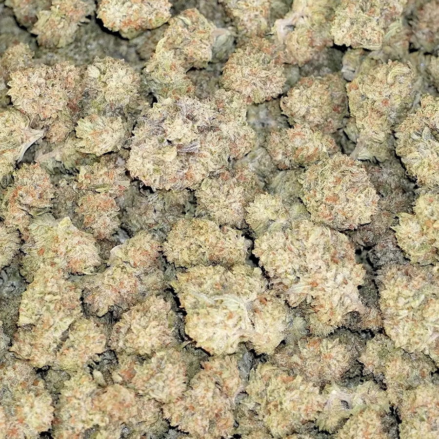 Premium THCa Flower - Amaretto Sour