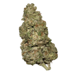 Indoor THCA Flower - OG Kush - Image 2