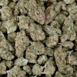 Greenhouse THCA Flower - Blue Dream - Image 4