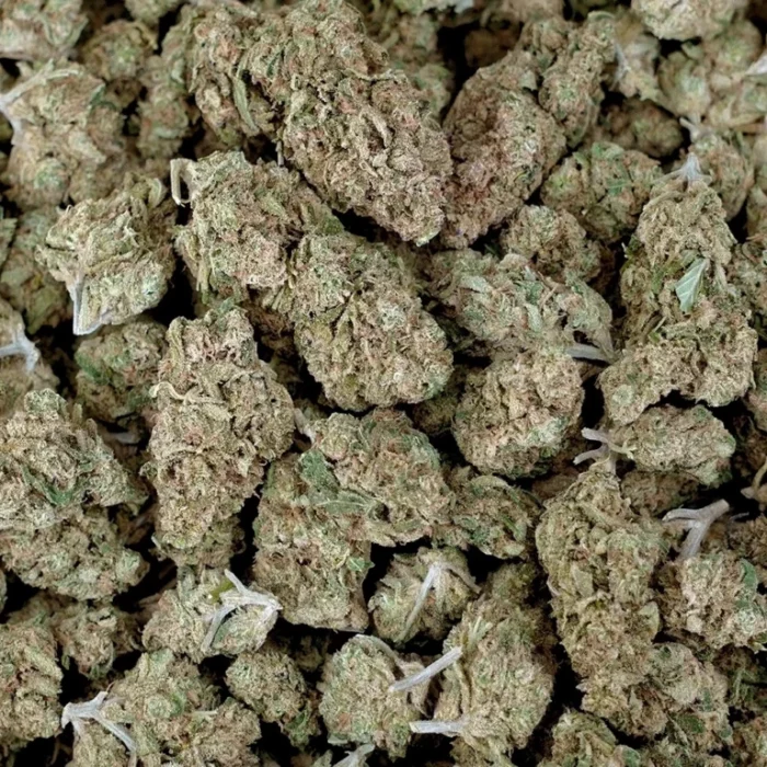 Greenhouse THCA Flower - Blue Dream - Image 4