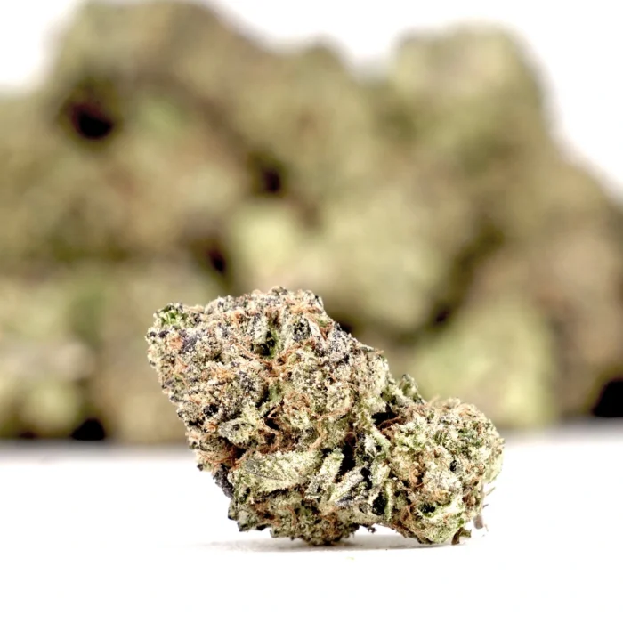Indoor THCA Flower - Girl Scout Cookies - Image 3