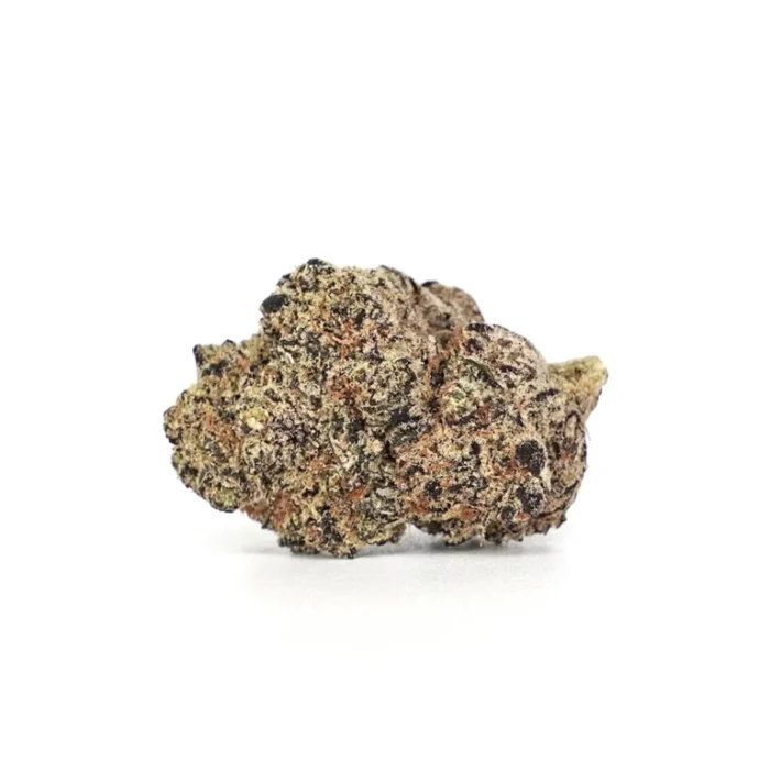 Indoor THCA Flower - King Louie - Image 3