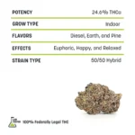 Indoor THCA Flower - King Louie - Image 2