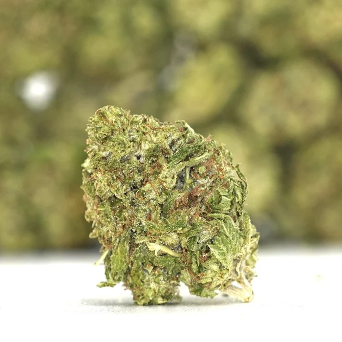 Outdoor THCA Flower - Tangie Jack - Image 3