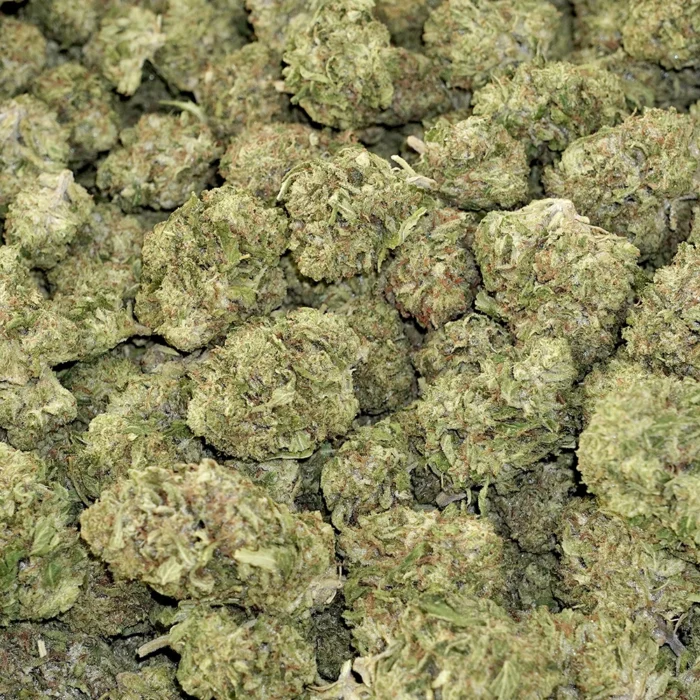 Outdoor THCA Flower - Tangie Jack - Image 4