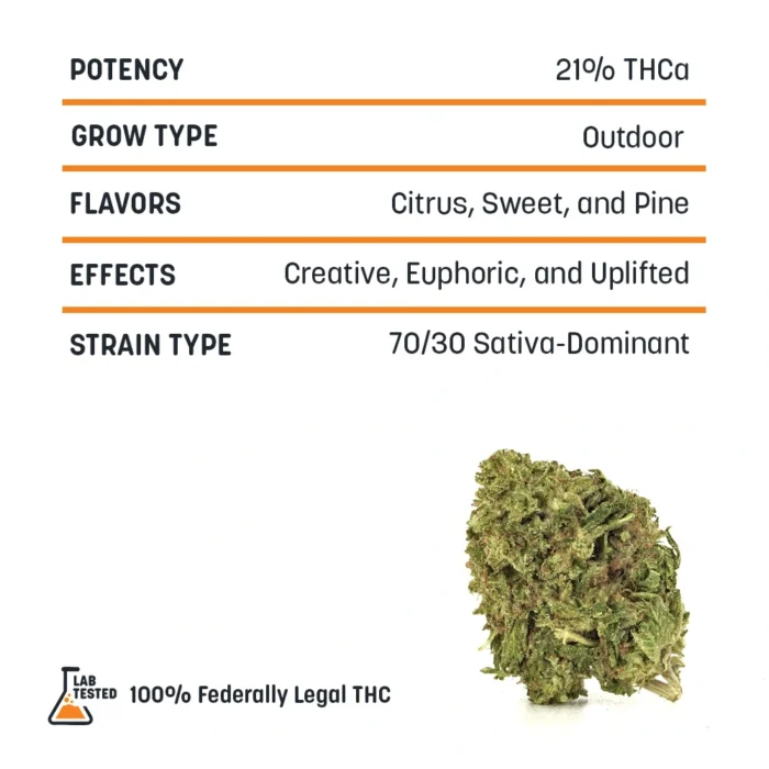 Outdoor THCA Flower - Tangie Jack - Image 2