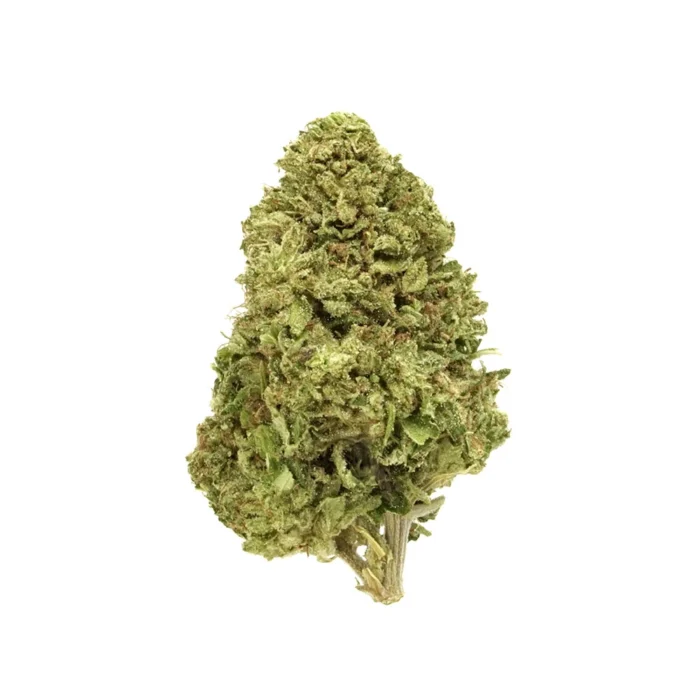 Outdoor THCA Flower - Tangie Jack - Image 1