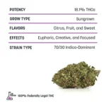 Outdoor THCA Flower - Zlurpee - Image 2