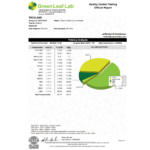 1g THCa Live Resin Disposable - King Louis - Image 3